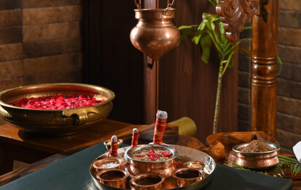 Best Wellness Retreat in India