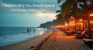 Top 7 Reasons Why You Should Spend Christmas 2024 in Goa