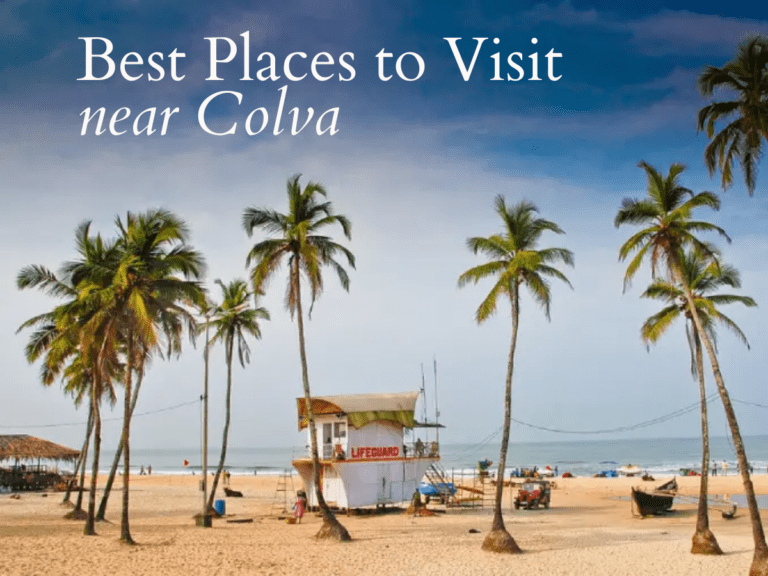 Top Places to Visit Near Colva Beach, Goa: Explore Gems in South Goa