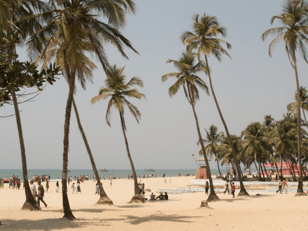 Top Beach Party Destination to Celebrate New Year 2025