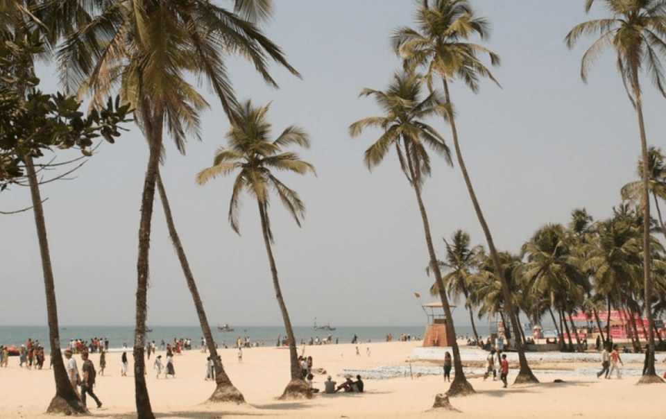 Top Beach Party Destination to Celebrate New Year 2025