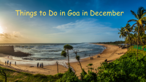 Things to Do in Goa in December