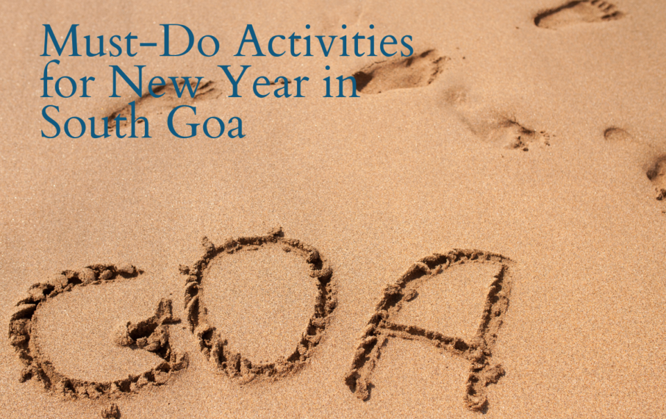 Must-Do Activities for New Year in South Goa