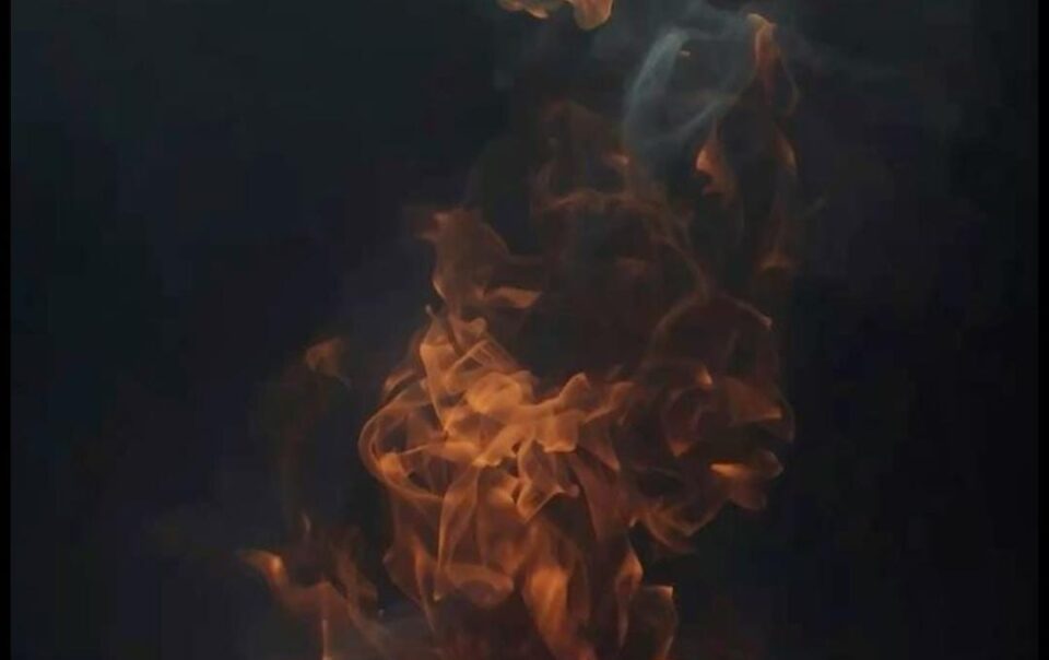  7 Dhatus in Ayurveda and Dhatvagni - Soul Vacation