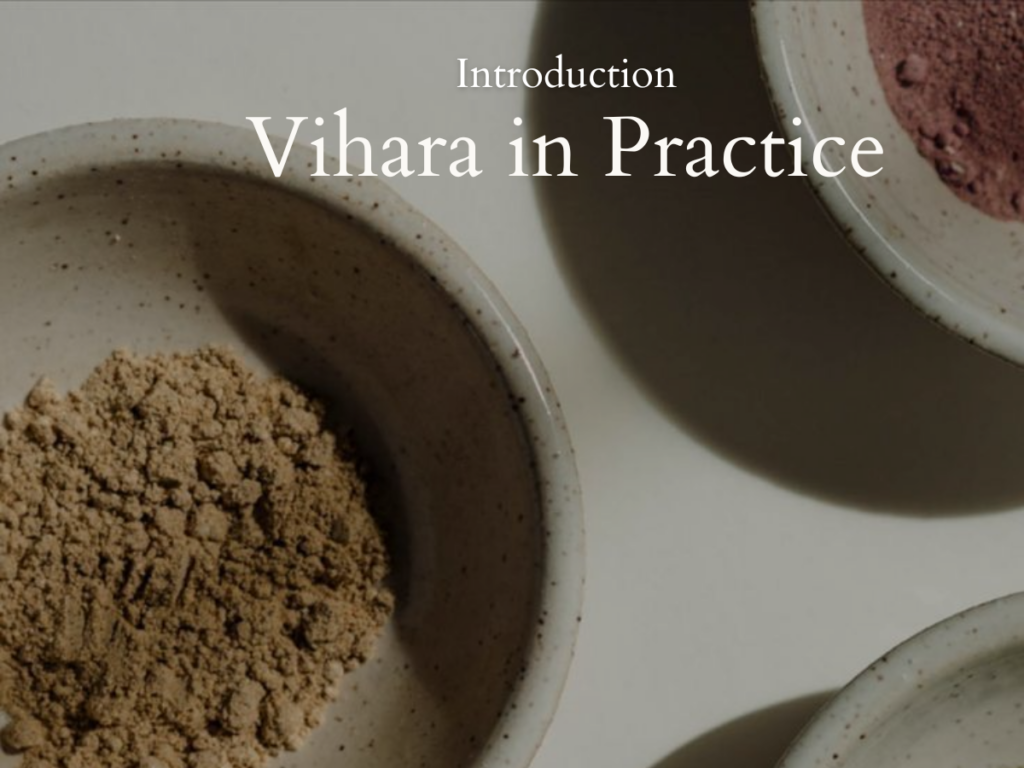 Vihara in Practice