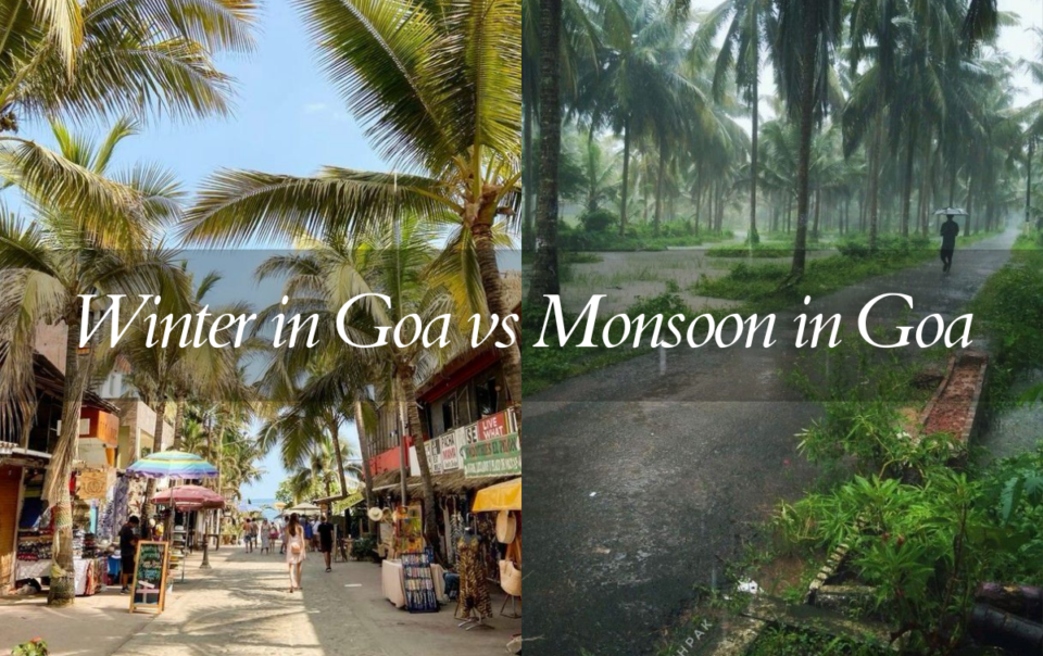 Difference between Winter in Goa vs Monsoon in Goa