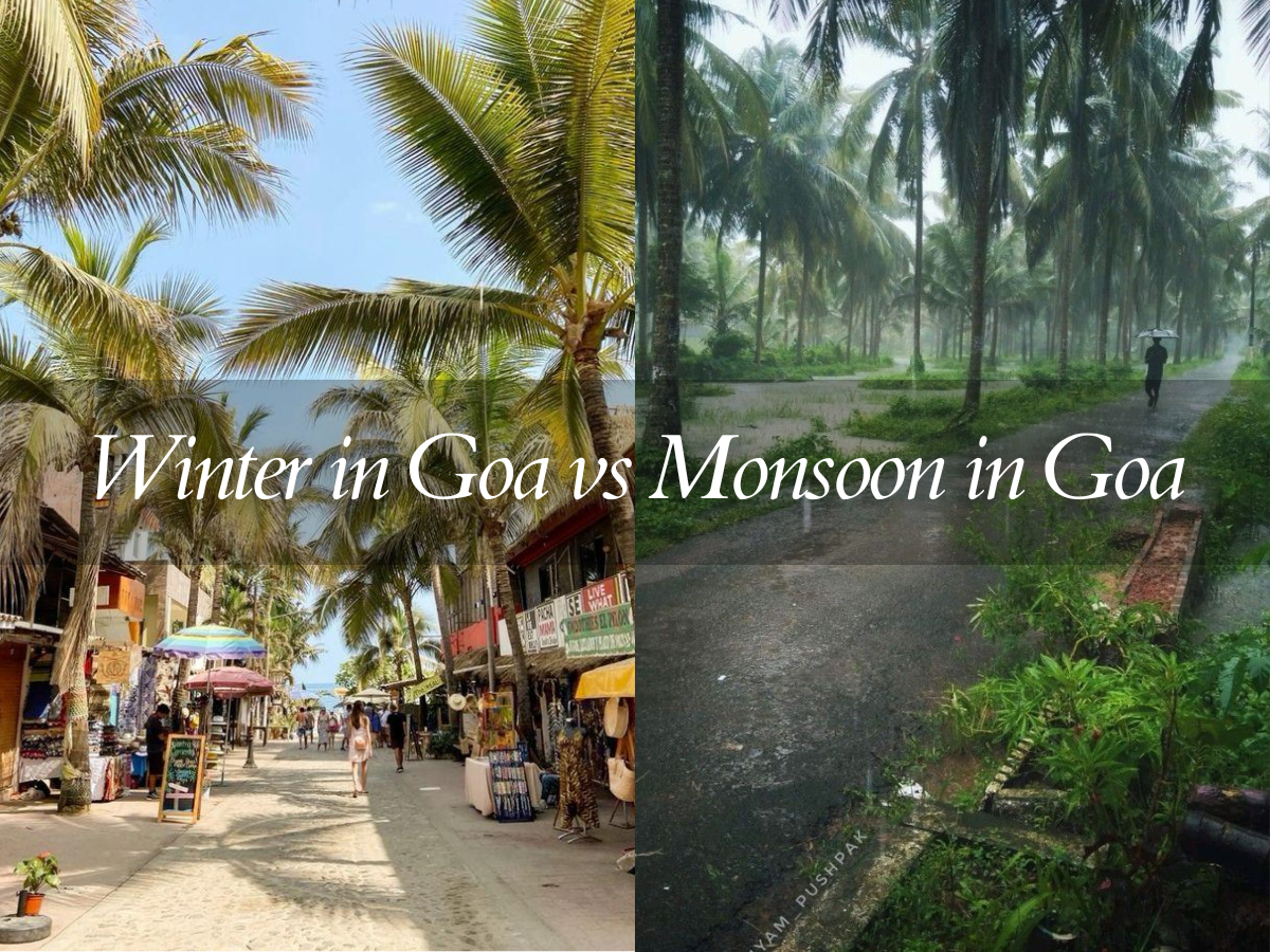 Difference between Winter in Goa vs Monsoon in Goa