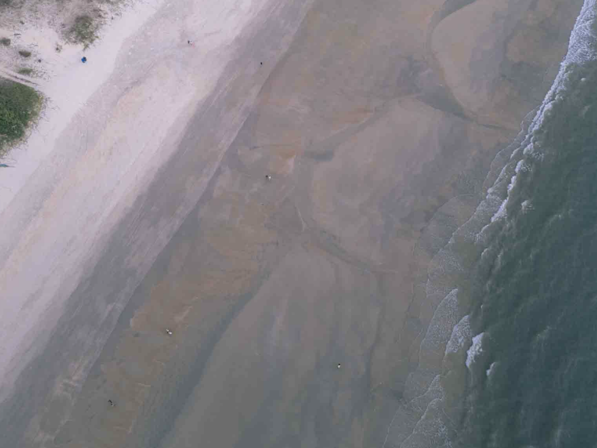 Colva Beach vs Bogmalo Beach