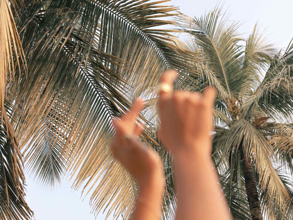 Wellness in Goa vs Wellness in Maldives